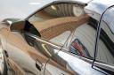 Firebird1